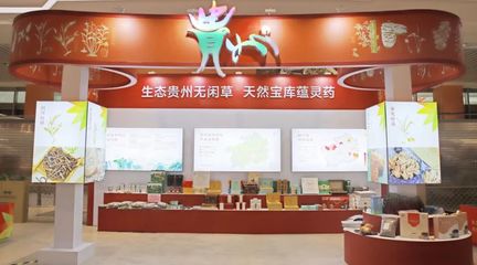 黔藥出山新窗口 貴州中藥材館常駐亳州，近400種道地藥材集中亮相
